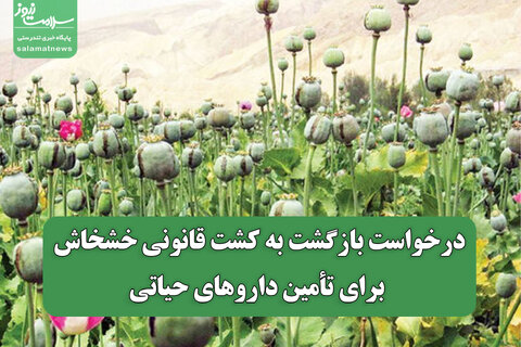 درخواست بازگشت به کشت قانونی خشخاش برای تأمین داروهای حیاتی