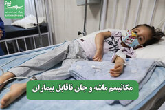 مکانیسم ماشه و جان ناقابل بیماران