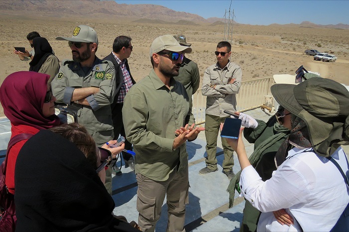 در یک قدمی انقراض؛ گله ها و مرتع ها را فروختیم تا یوزپلنگ ها بمانند!