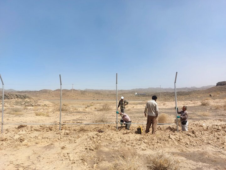 در یک قدمی انقراض؛ گله ها و مرتع ها را فروختیم تا یوزپلنگ ها بمانند!