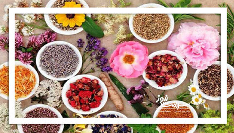 سلامت  با مصرف این چند گیاه تأیید می‌شود