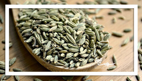کاهش خطر بیماری‌های قلبی با مصرف یک ادویه