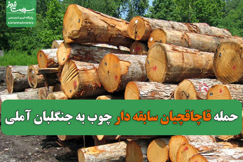 عکس/حمله دوباره ی قاچاقچیان سابقه دار چوب به جنگلبان آملی