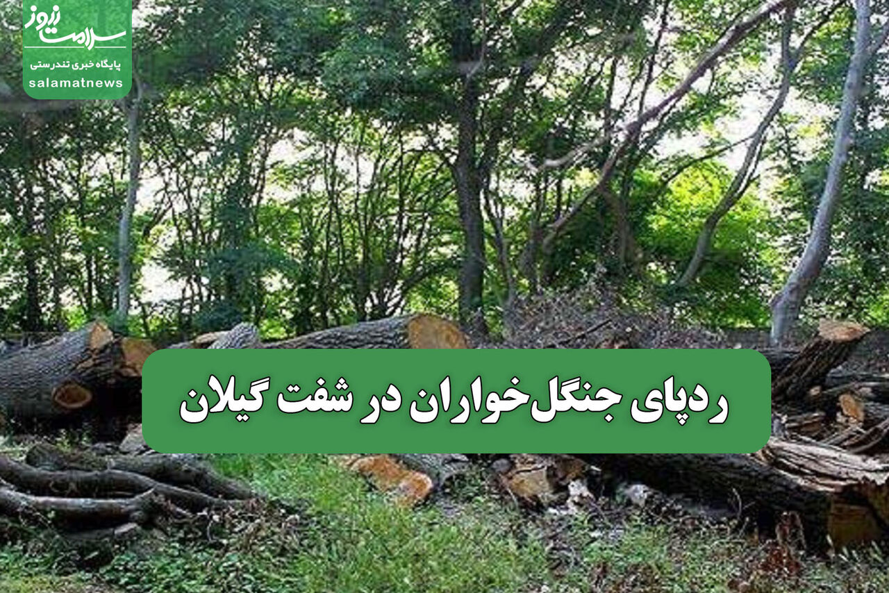 ردپای جنگل‌خواران در شفت گیلان 