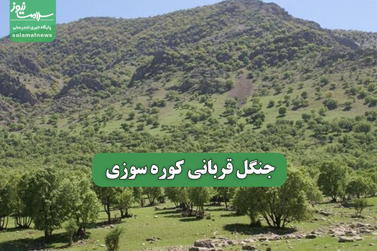 جنگل قربانی کوره سوزی