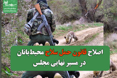 اصلاح قانون حمل سلاح محیط‌بانان در مسیر نهایی مجلس