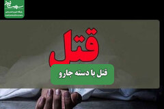 قتل با دسته جارو