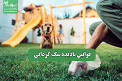 قوانین نادیده سگ گردانی