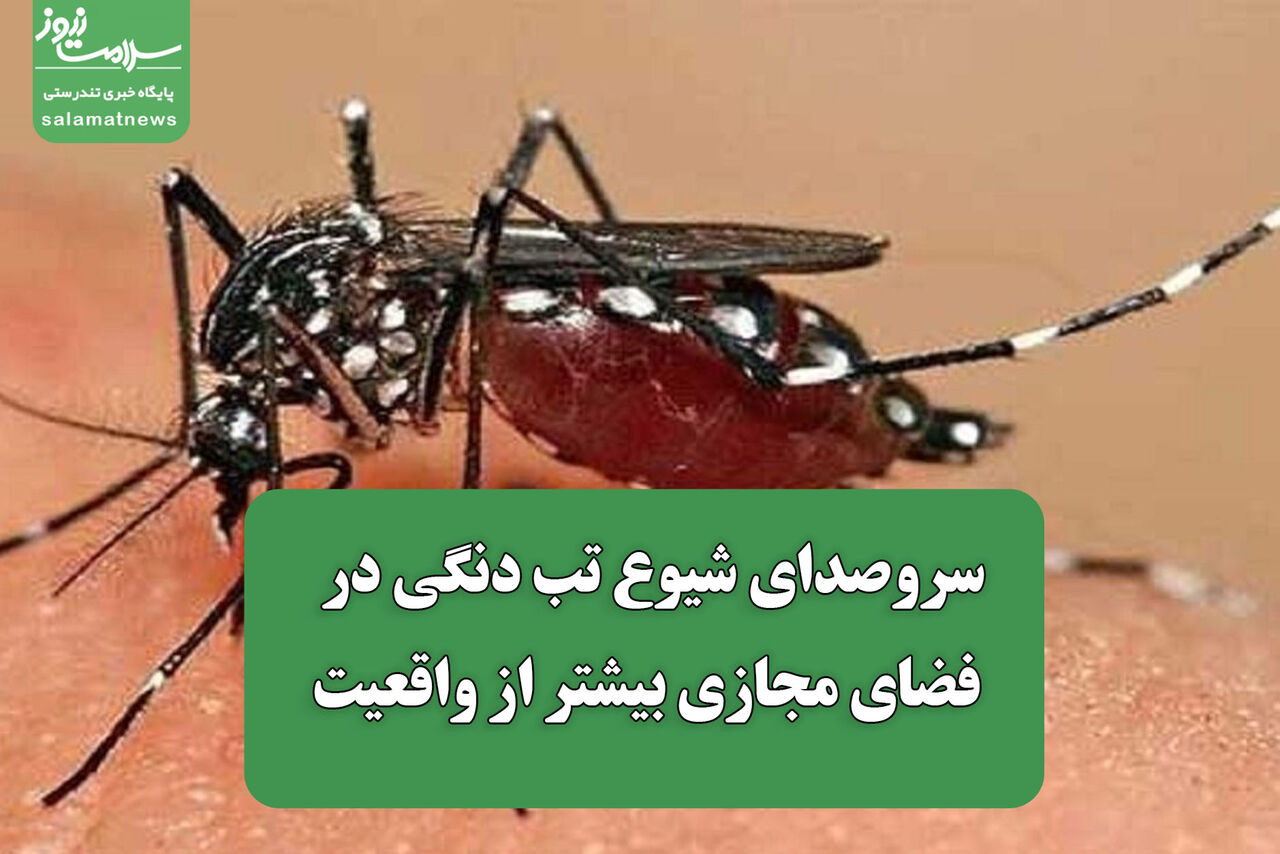 سروصدای شیوع تب دنگی در فضای مجازی بیشتر از واقعیت