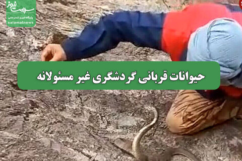 حیوانات قربانی گردشگری غیر مسئولانه