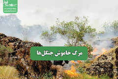 مرگ خاموش جنگلها