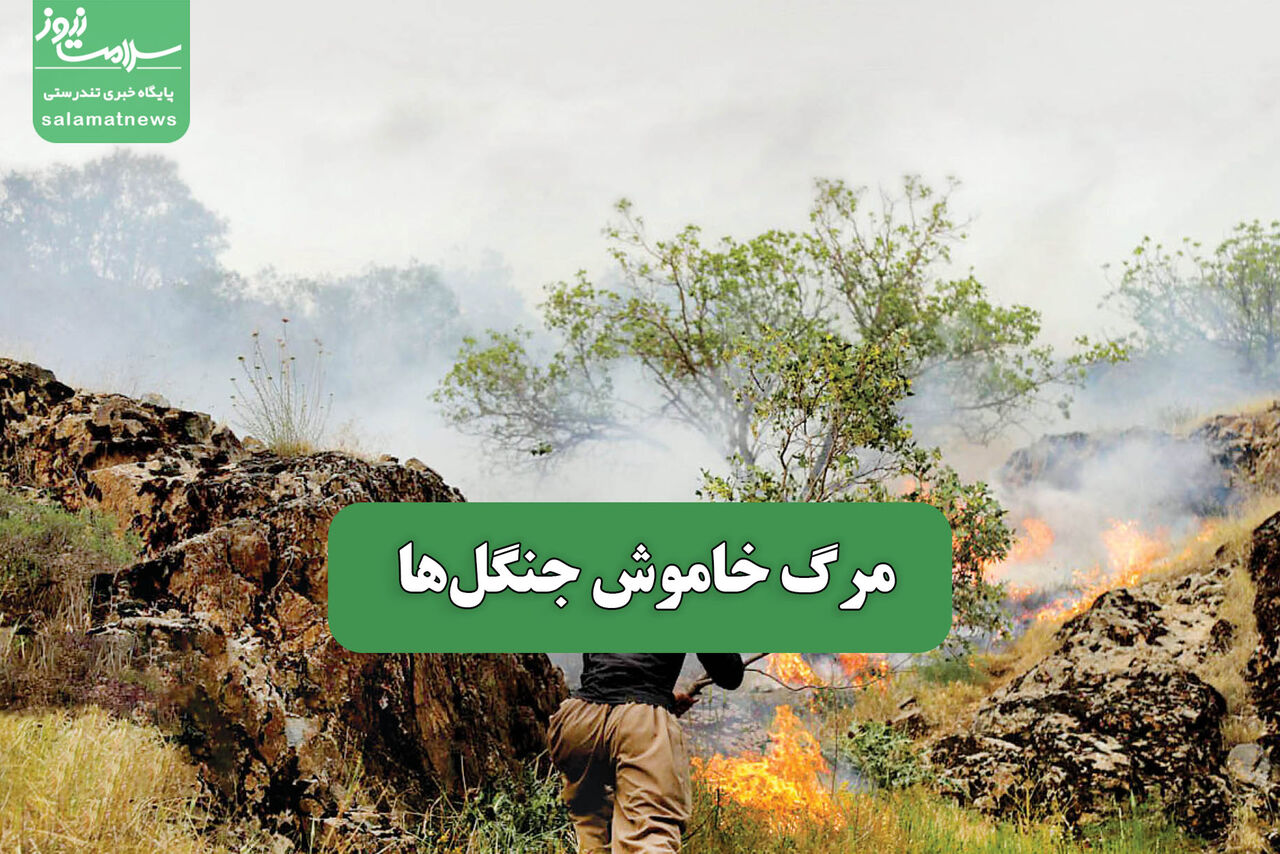 مرگ خاموش جنگل‌ها