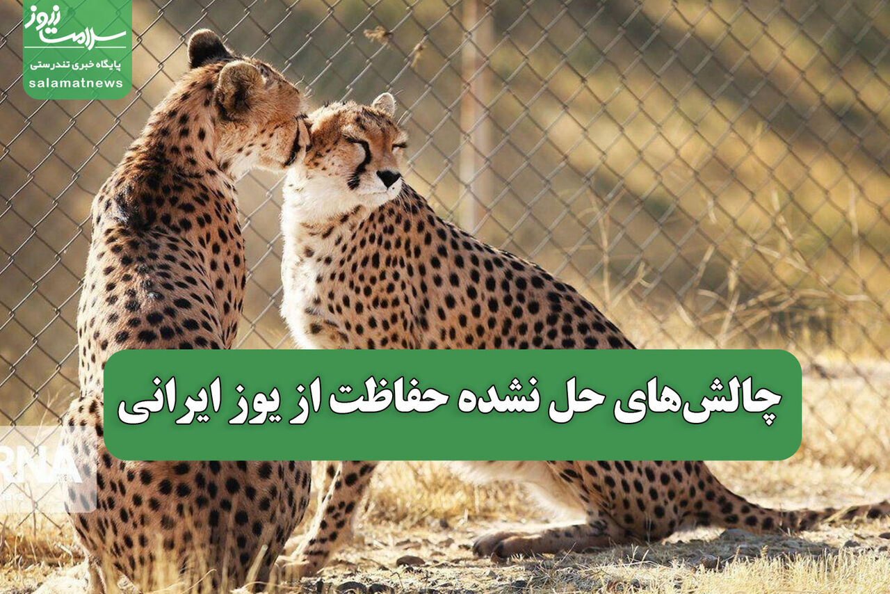 چالش‌های حل نشده حفاظت از یوز ایرانی