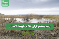 زخم جستجوگران طلا بر طبیعت لاله زار