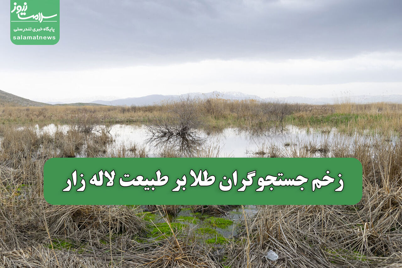 زخم جستجوگران طلا بر طبیعت لاله زار