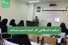 اساتید دانشگاهی که راننده اسنپ شده‌اند