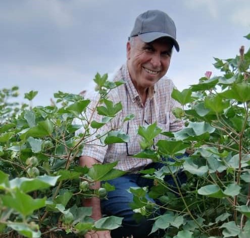 پنبه و کشاورزی حفاظتی؛ زوج مناسب در حفاظت خاک و ترسیب کربن