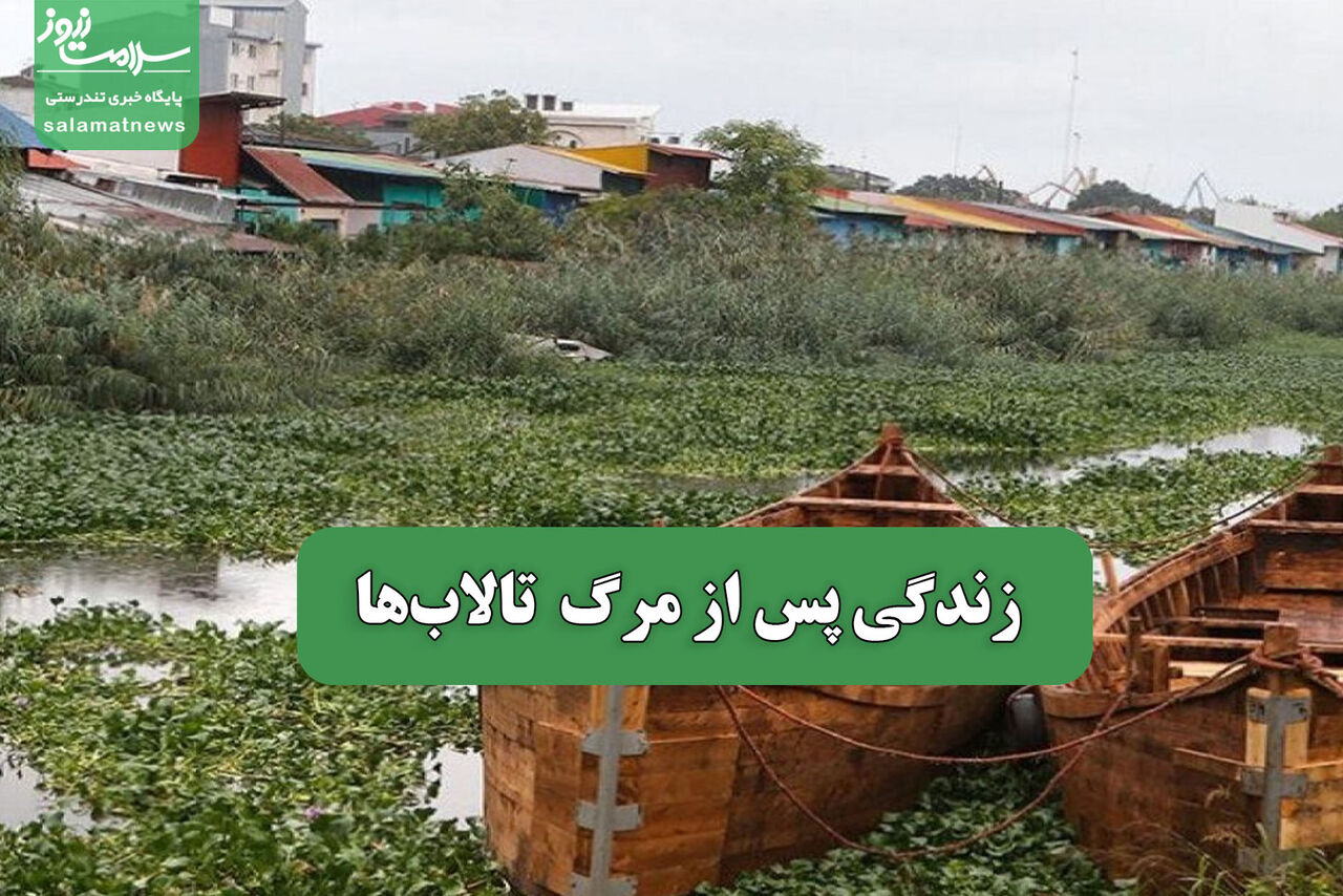 زندگی پس از مرگ  تالاب‌ها 