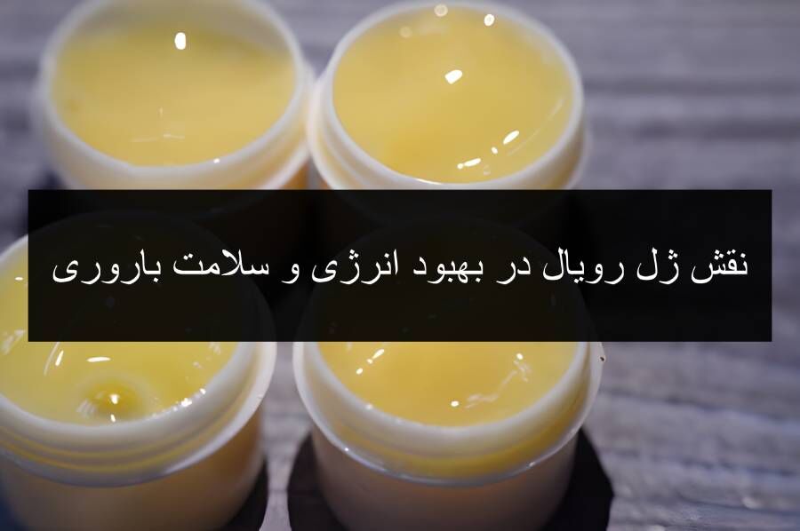نقش ژل رویال در بهبود انرژی و سلامت باروری