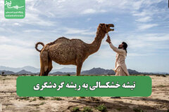 تیشه خشکسالی به ریشه گردشگری