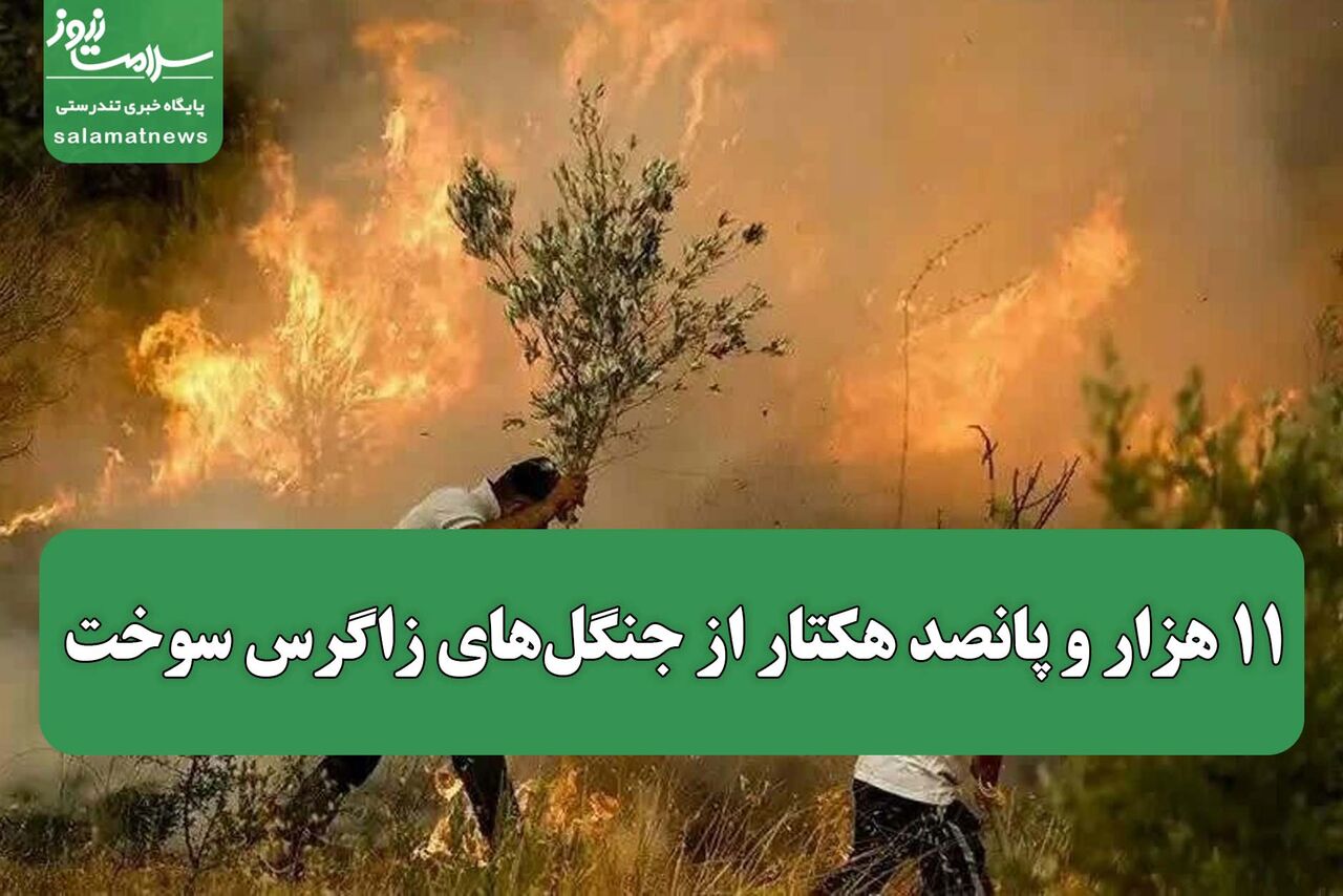 ۱۱ هزار و پانصد هکتار از جنگل‌های زاگرس سوخت