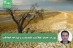 تورم، حذف عقلانیت بلندمدت و بودجه حفاظت