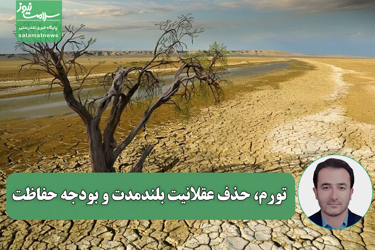 تورم، حذف عقلانیت بلندمدت و بودجه حفاظت