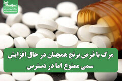 مرگ با قرص برنج همچنان در حال افزایش؛ سمی ممنوع اما در دسترس