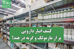 کشف انبار دارویی پر از مارمولک و گربه در هند! / FDA شوکه شد