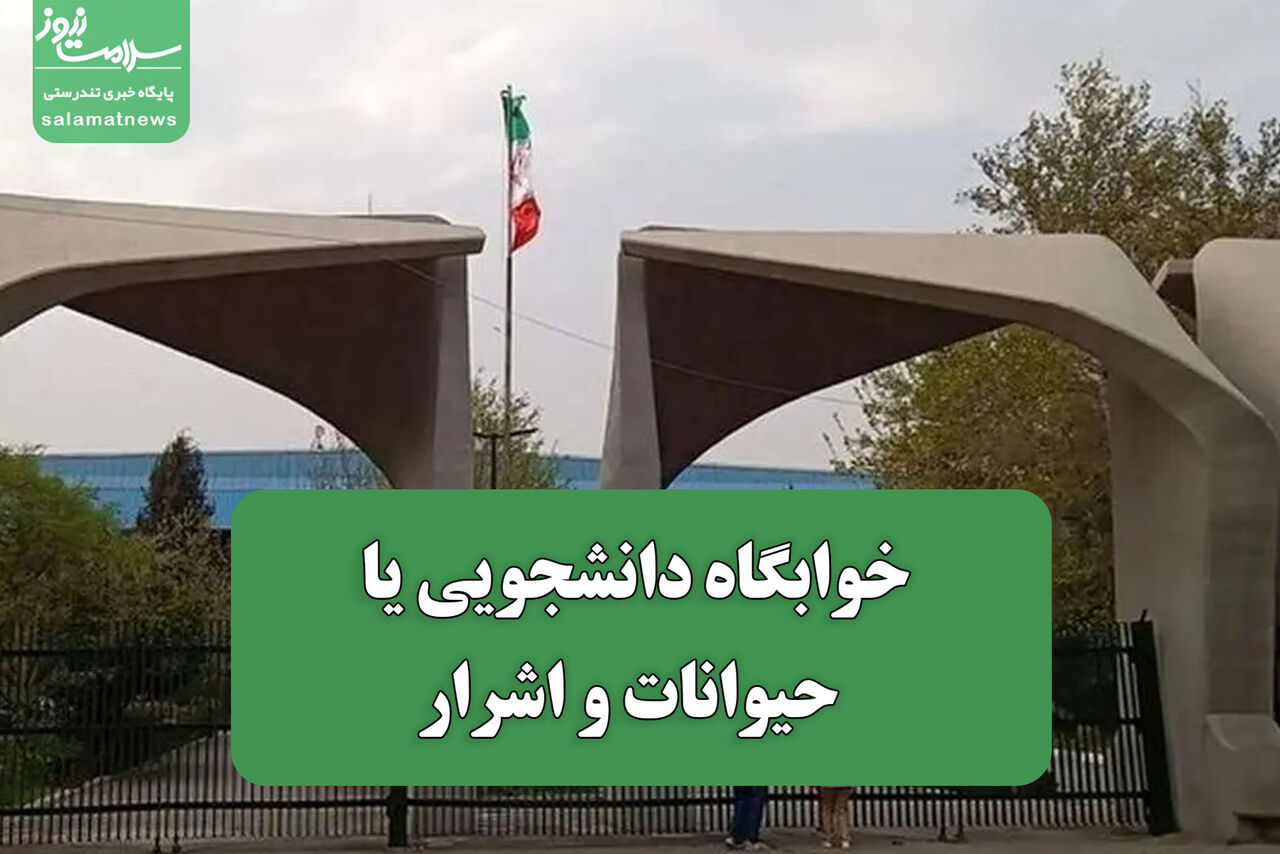 خوابگاه دانشجویی یا جولانگاه حیوانات و اشرار خوابگاه دانشجویی یا جولانگاه حیوانات و اشرار