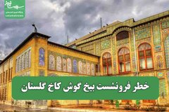 خطر فرونشست بیخ گوش کاخ گلستان