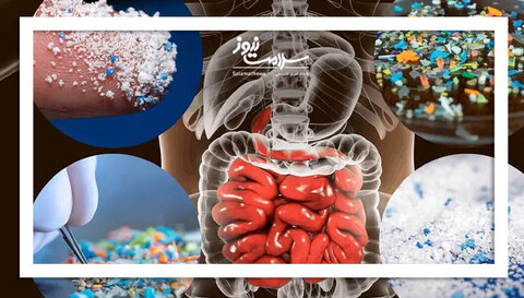 مرگ تدریجی با ریزپلاستیک‌ها