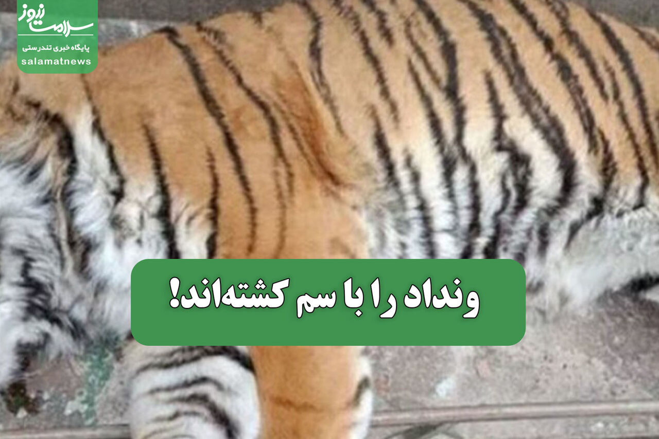 ونداد را با سم کشته‌اند!