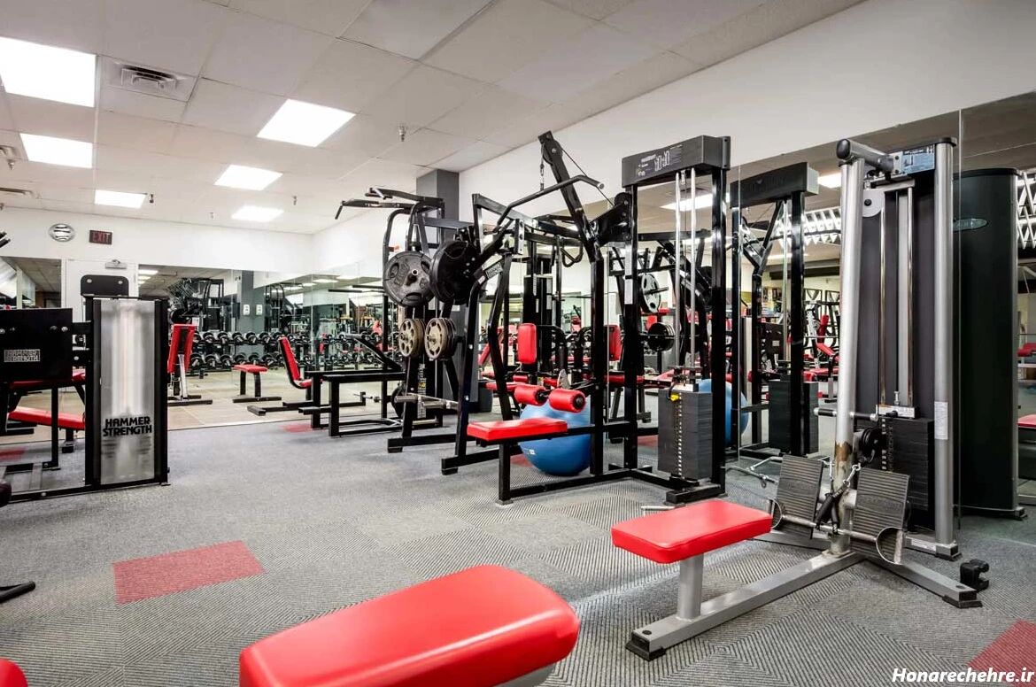 افزایش تخلفات بیمه‌ای در مراکز زیبایی و باشگاه‌های ورزشی؛ بازرسان باید هوشیار باشند