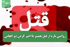 روایتی تازه از قتل همسر با اجیر کردن دو افغانی