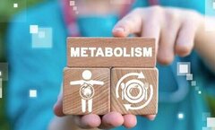 عوامل موثر بر سوخت‌وساز بدن؛ از استرس و خواب تا میکروبیوم روده