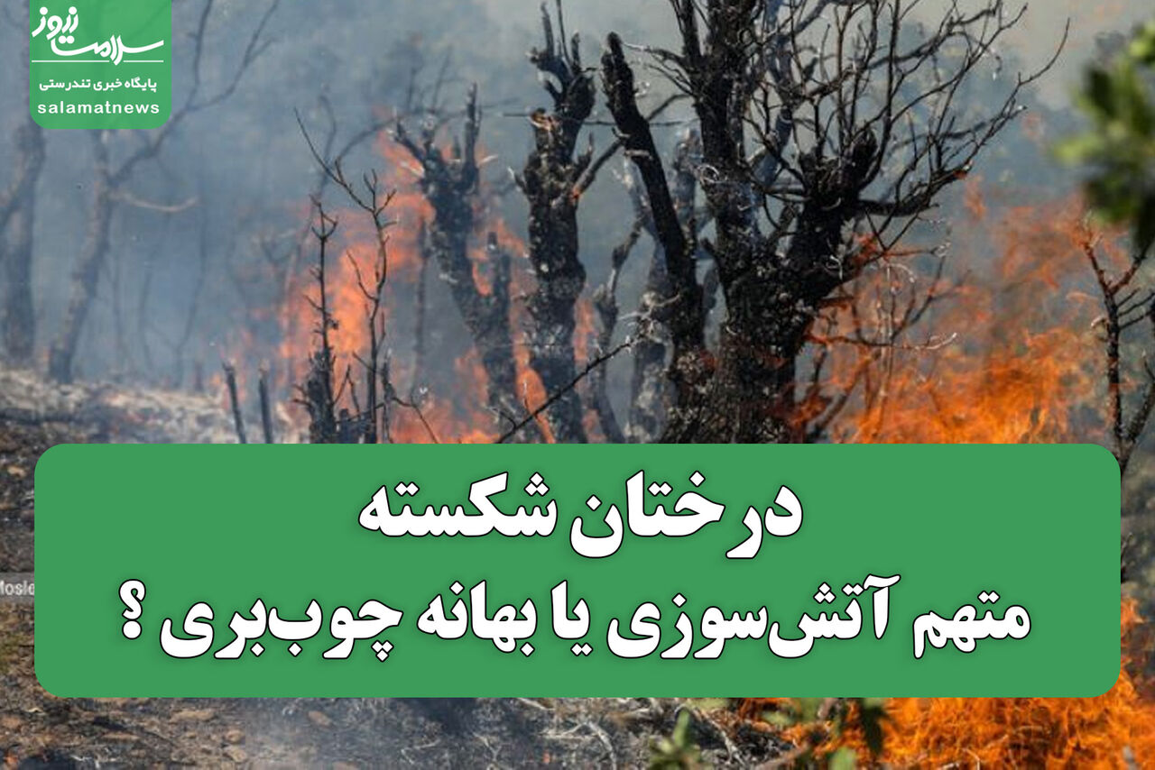 درختان شکسته؛ متهم آتش‌سوزی یا بهانه چوب‌بری ؟