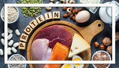 بدن ما چقدر پروتئین نیاز دارد؟