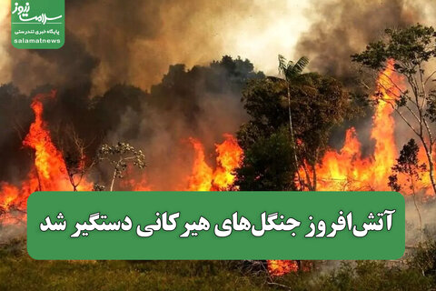 آتش‌افروز جنگل‌های هیرکانی دستگیر شد