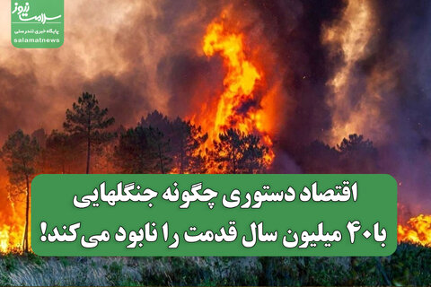 اقتصاد دستوری چگونه جنگلهایی با۴۰ میلیون سال قدمت را نابود می‌کند!