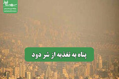 پناه به تغذیه از شر دود