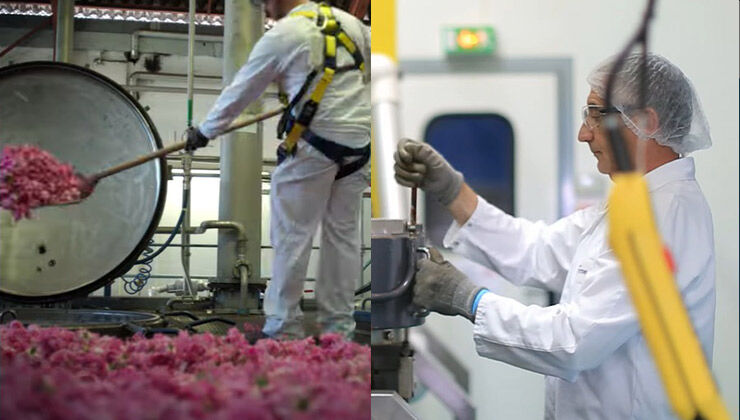 سازنده های پرفروش عطر و اسانس در سال 2025