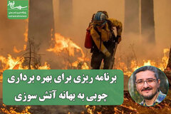 برنامه ریزی برای بهره برداری چوبی به بهانه آتش سوزی
