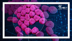 آیا AI می‌تواند جهان را از بحران مقاومت آنتی‌بیوتیکی نجات دهد؟