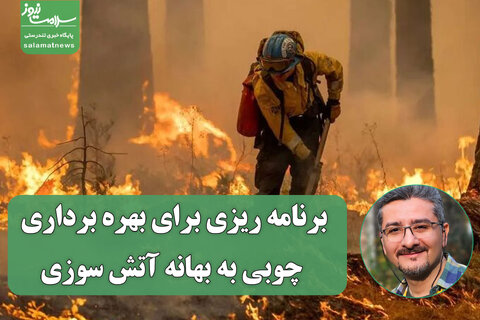 برنامه ریزی برای بهره برداری چوبی به بهانه آتش سوزی