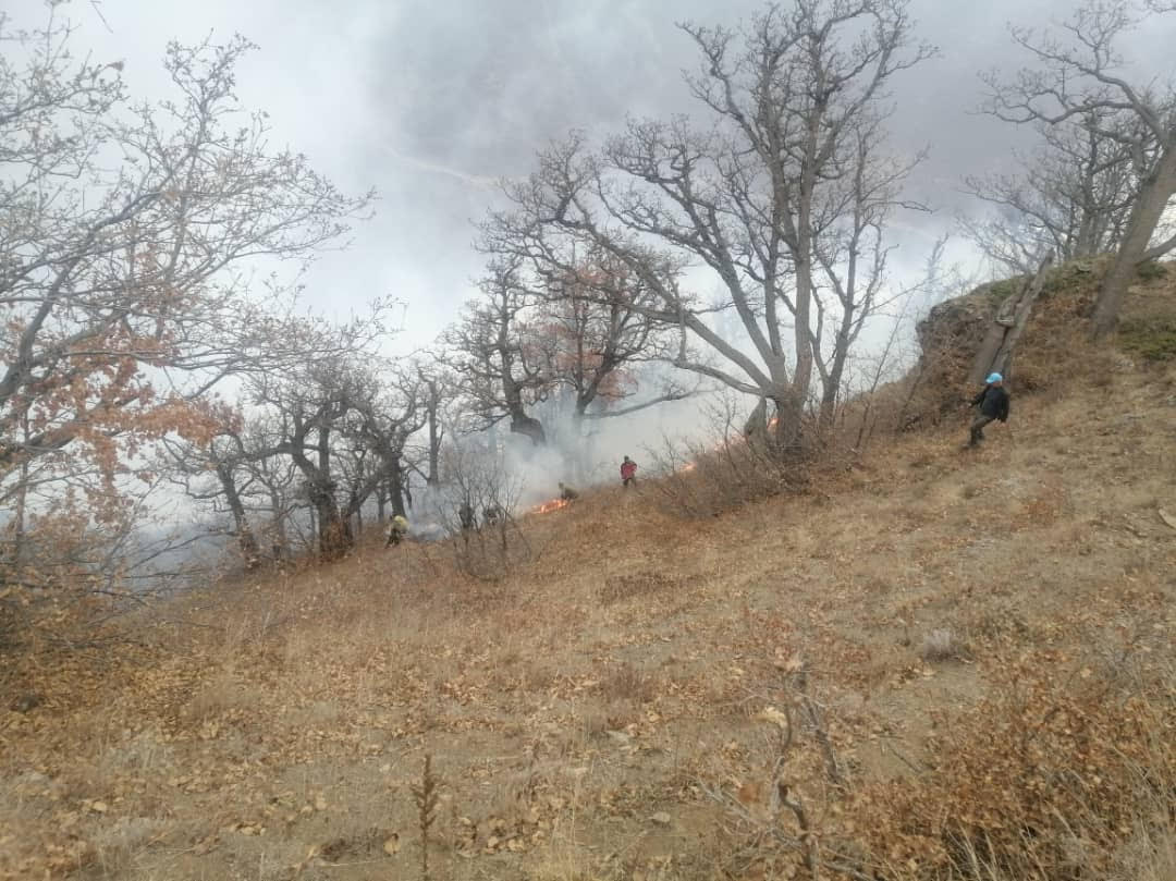 چرا به عنوان نماینده، فریاد جنگلبانان و محیط بانان برای تنقیح قوانین را نشنیدید؟/ برای تجهیزات اطفای آتش جنگل، چه قدمی برداشتید!