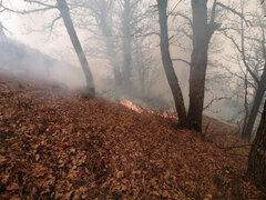 چرا به عنوان نماینده، فریاد جنگلبانان و محیط بانان برای تنقیح قوانین را نشنیدید؟/ برای تجهیزات اطفای آتش جنگل، چه قدمی برداشتید!