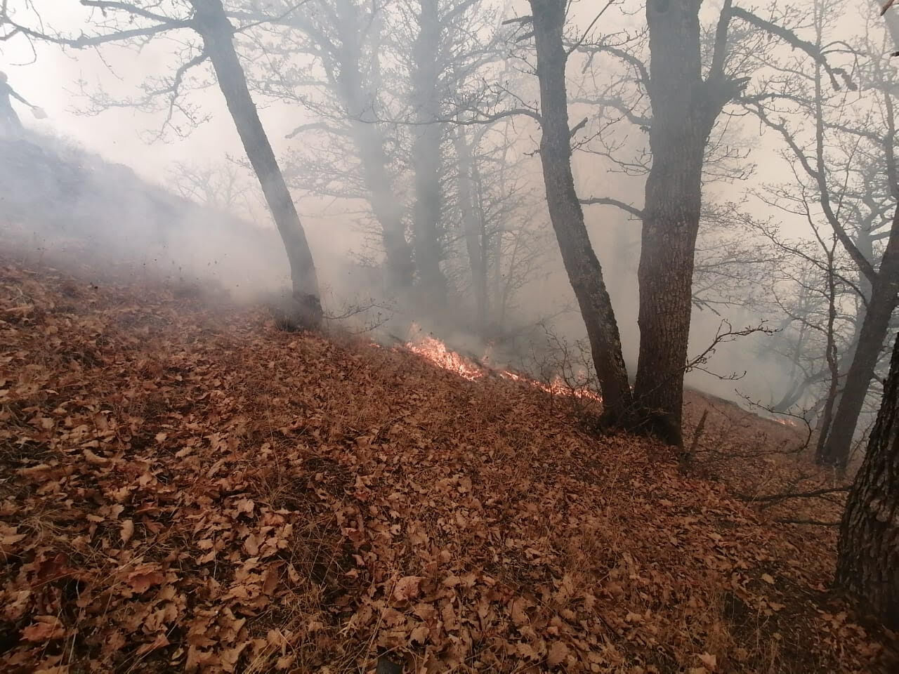 چرا به عنوان نماینده، فریاد جنگلبانان و محیط بانان برای تنقیح قوانین را نشنیدید؟/ برای تجهیزات اطفای آتش جنگل، چه قدمی برداشتید!
