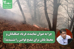 چرا به عنوان نماینده، فریاد جنگلبانان و محیط بانان برای تنقیح قوانین را نشنیدید؟/ برای تجهیزات اطفای آتش جنگل، چه قدمی برداشتید!