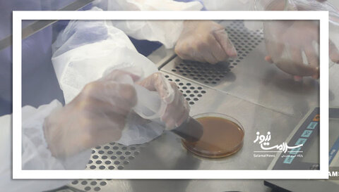 پیوند مدفوع برای کدام بیماران انجام می‌شود؟